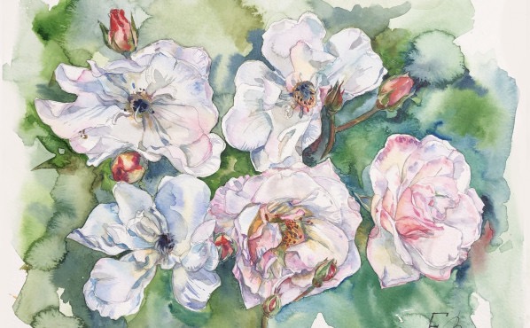 Компьютерная графика – работы студентов - 39